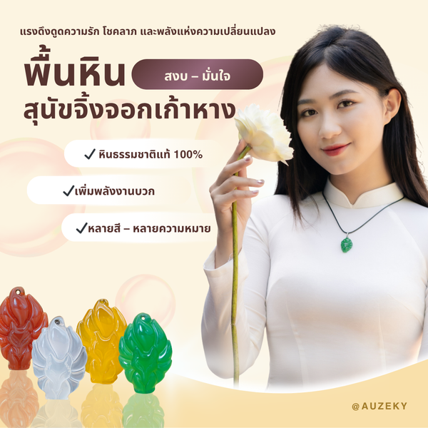 หน้าหินฮวงจุ้ยการ์ตูนเก้าหาง